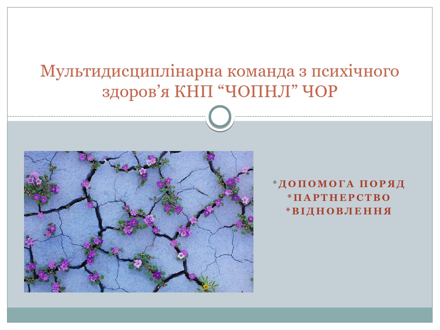 Мультидисциплінарна команда з психічного здоров’я КНП “ЧОПНЛ” ЧОР